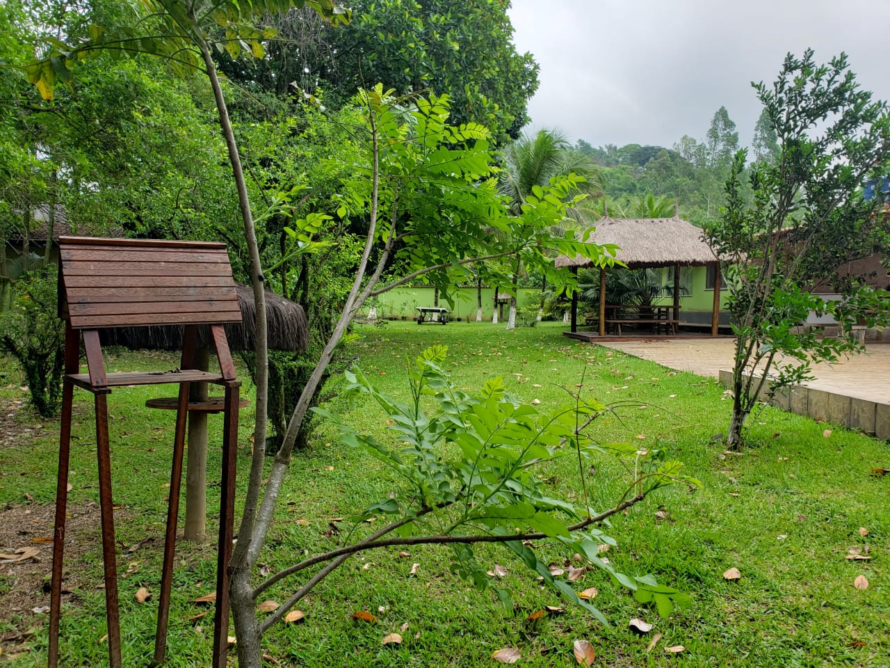 Imagem Chácara com 2 Quartos à Venda, 2.000 m² em Mazomba - Itaguaí Imagem Chácara com 2 Quartos à Venda, 2.000 m² em Mazomba - Itaguaí