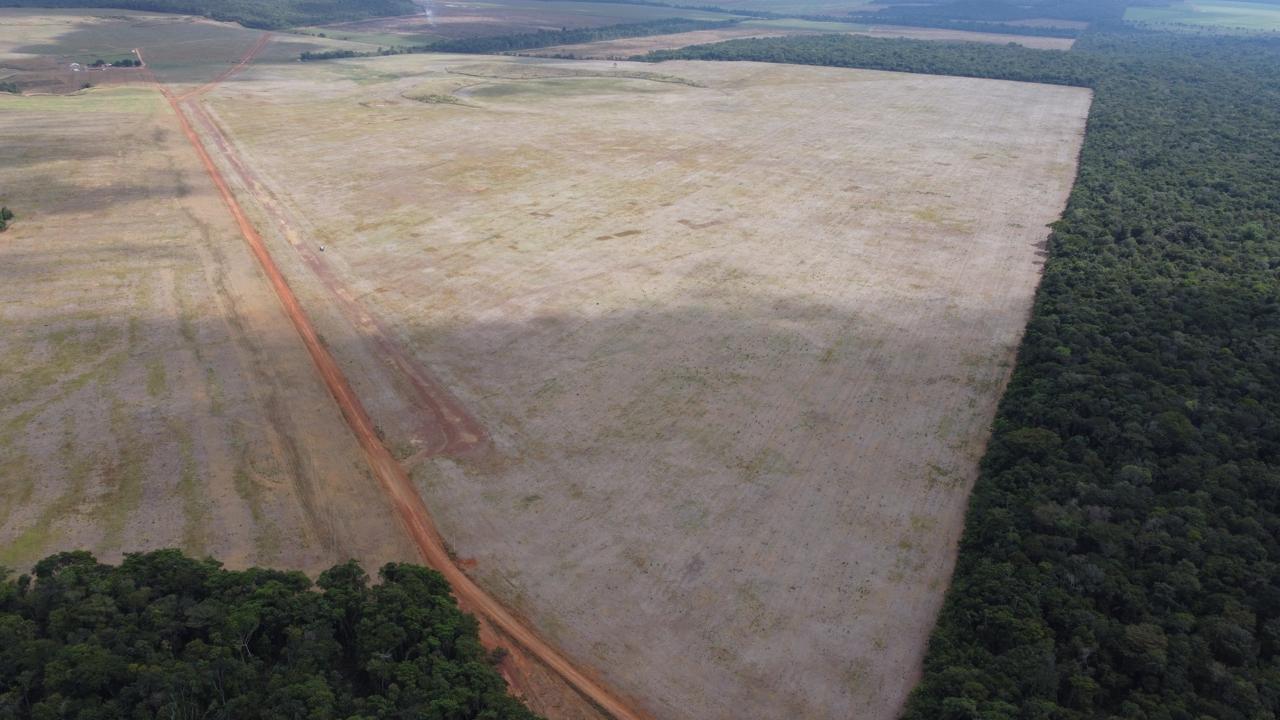 Imagem Fazenda à Venda, 400 Alq. GO em ZONA RURAL - Confresa Imagem Fazenda à Venda, 400 Alq. GO em ZONA RURAL - Confresa