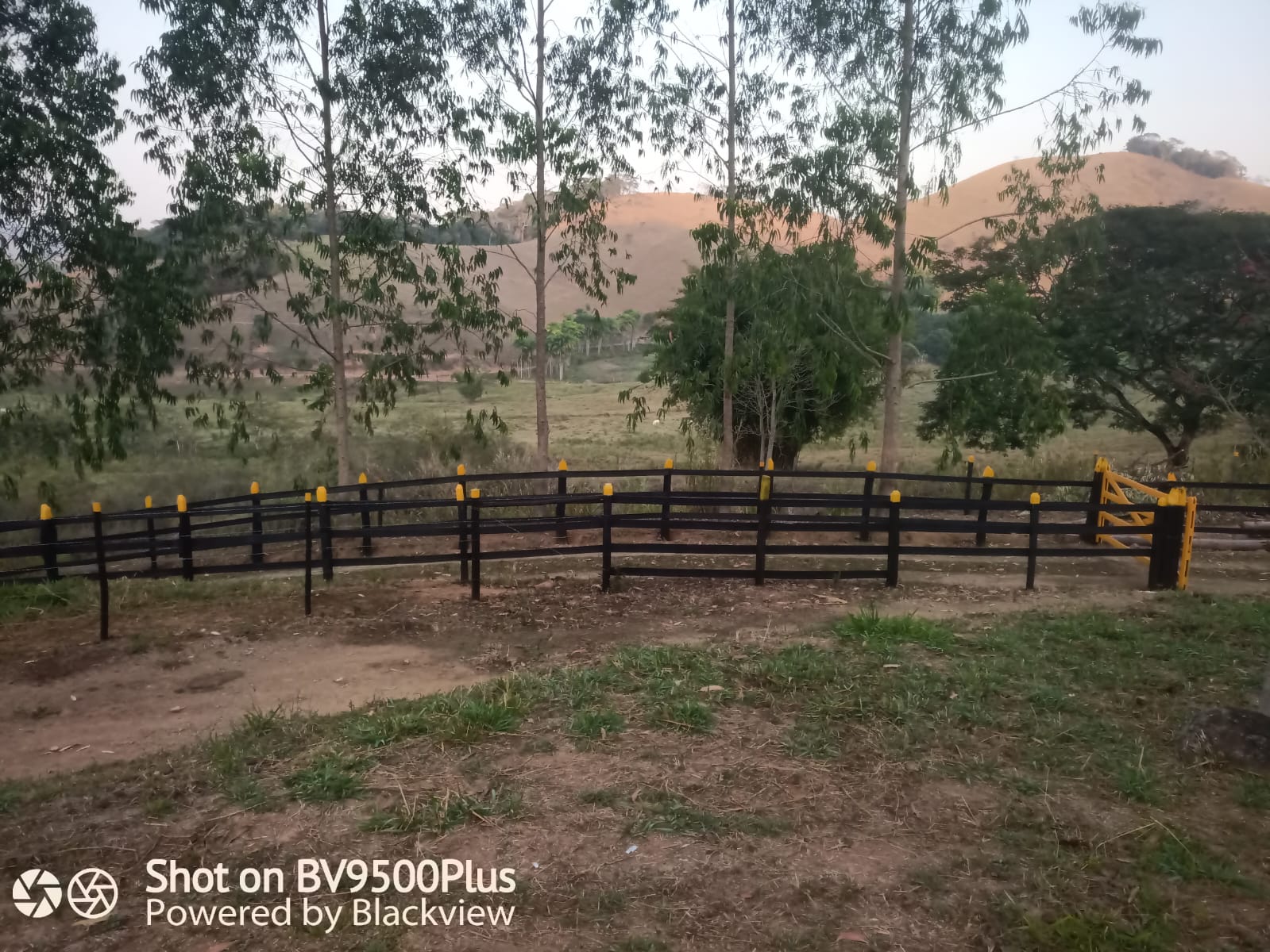 Imagem Chácara com 2 Quartos à Venda, 72.000 m² em  - Rio Pomba
