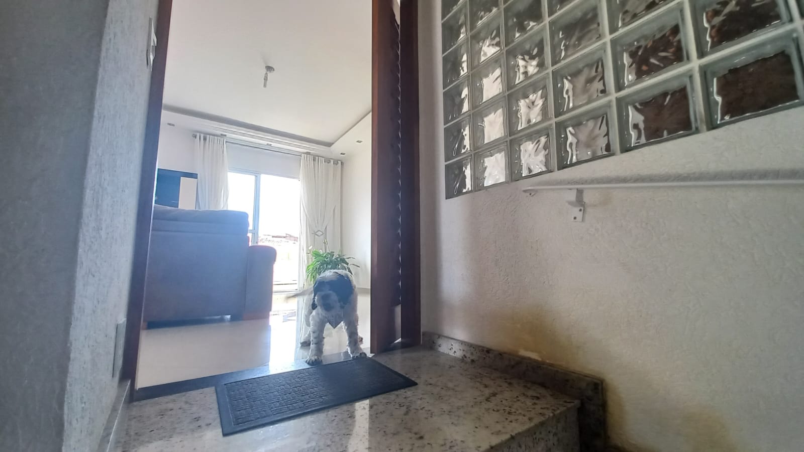 Imagem Sobrado com 5 Quartos à Venda, 350 m²em Parque Casa de Pedra - São Paulo