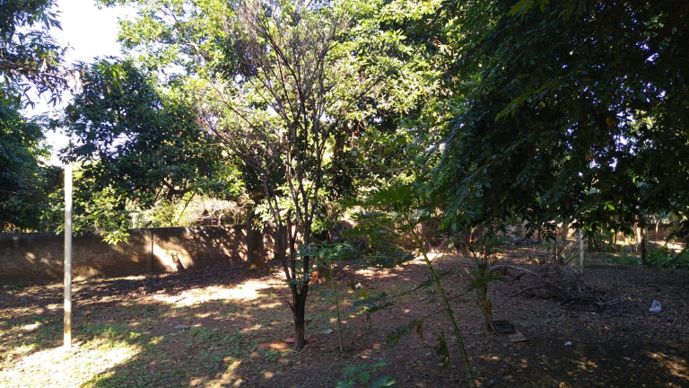 Imagem Chácara com 4 Quartos à Venda, 300 m² em Jardim do Trevo - Araçatuba Imagem Chácara com 4 Quartos à Venda, 300 m² em Jardim do Trevo - Araçatuba