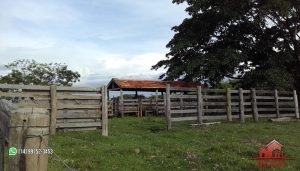 Imagem Fazenda à Venda, 74 Alq SPem ZONA RURAL - Garça Imagem Fazenda à Venda, 74 Alq SPem ZONA RURAL - Garça