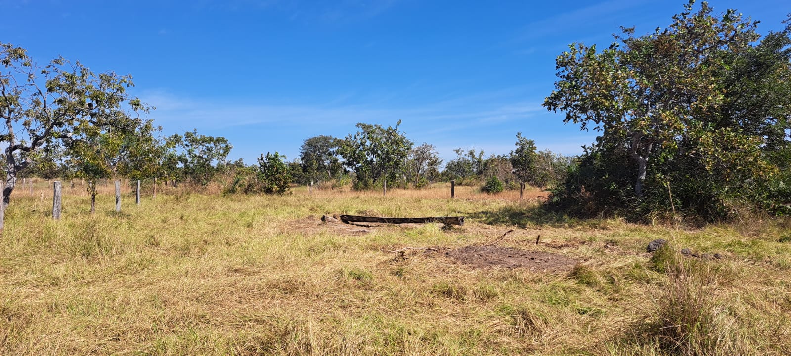 Imagem Fazenda à Venda, 25 Alq GOem Zona Rural - Araguaiana Imagem Fazenda à Venda, 25 Alq GOem Zona Rural - Araguaiana