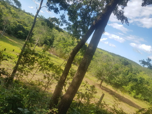Imagem Fazenda à Venda, em Área Rural - Padre Bernardo Imagem Fazenda à Venda, em Área Rural - Padre Bernardo