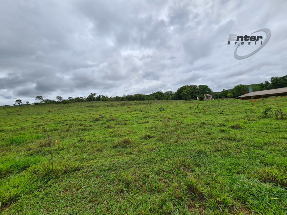 Imagem Fazenda à Venda, 24 HA em brazlandia - Brasília Imagem Fazenda à Venda, 24 HA em brazlandia - Brasília