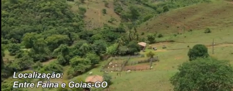 Imagem Fazenda à Venda, 54 Alq GOem Setor Central - Faina Imagem Fazenda à Venda, 54 Alq GOem Setor Central - Faina