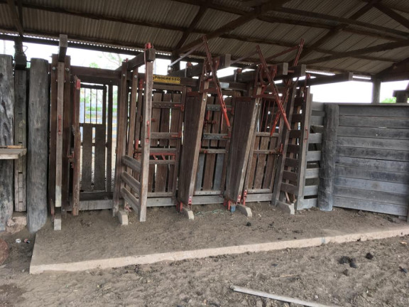 Fazenda à Venda, 4.870 HA em morumbi - campo grande