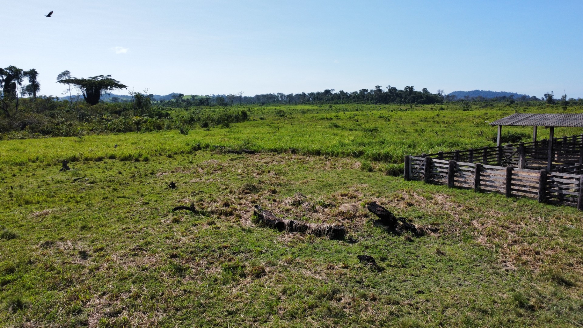 Imagem Fazenda à Venda, 900 Alq MGem Centro - São Félix do Xingu Imagem Fazenda à Venda, 900 Alq MGem Centro - São Félix do Xingu