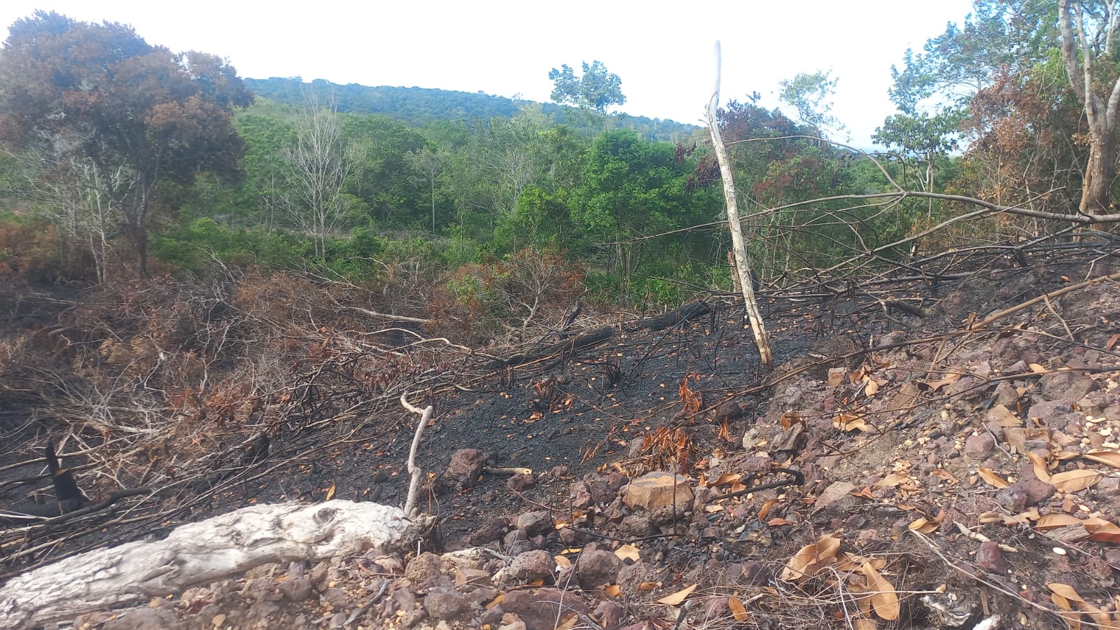 Imagem Terreno à Venda, 1 m²em Centro - Santarém Imagem Terreno à Venda, 1 m²em Centro - Santarém