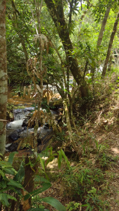 Imagem Terreno à Venda, 1.000 m² em Centro - Atibaia Imagem Terreno à Venda, 1.000 m² em Centro - Atibaia