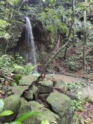 Imagem Terreno à Venda, em Santaninha - Pedras Grandes Imagem Terreno à Venda, em Santaninha - Pedras Grandes