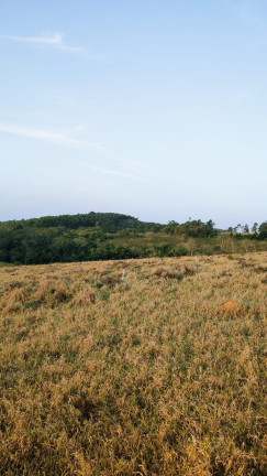 Imagem Terreno em Condomínio à Venda, 1.000 m² em Paruru - Ibiúna Imagem Terreno em Condomínio à Venda, 1.000 m² em Paruru - Ibiúna