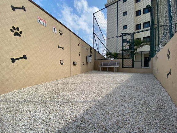 Imagem Apartamento com 3 Quartos à Venda, 65 m² em Baeta Neves - São Bernardo do Campo