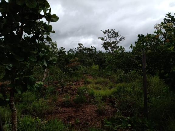 Imagem Fazenda à Venda, 4.870 HA em morumbi - campo grande Imagem Fazenda à Venda, 4.870 HA em morumbi - campo grande