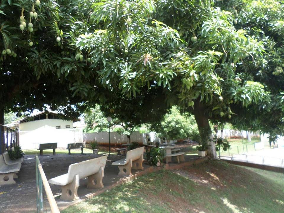 Imagem Apartamento com 3 Quartos à Venda, 70 m²em Parque Industrial Lagoinha - Ribeirão Preto Imagem Apartamento com 3 Quartos à Venda, 70 m²em Parque Industrial Lagoinha - Ribeirão Preto