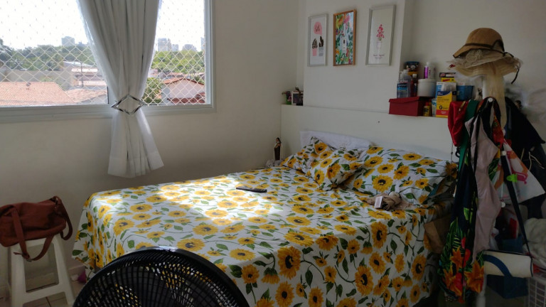 Imagem Apartamento com 3 Quartos para Alugar, 88 m² em Jardim Renascença - São Luís Imagem Apartamento com 3 Quartos para Alugar, 88 m² em Jardim Renascença - São Luís