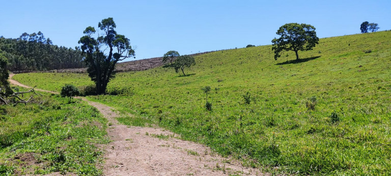 Terreno à Venda, 500 m² em moinho  - Nazaré Paulista