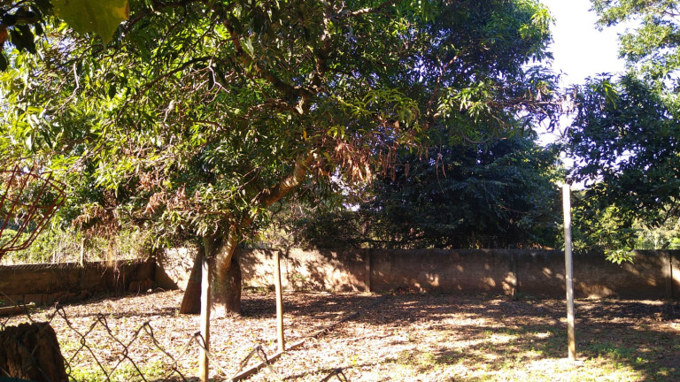Imagem Chácara com 4 Quartos à Venda, 300 m² em Jardim do Trevo - Araçatuba Imagem Chácara com 4 Quartos à Venda, 300 m² em Jardim do Trevo - Araçatuba