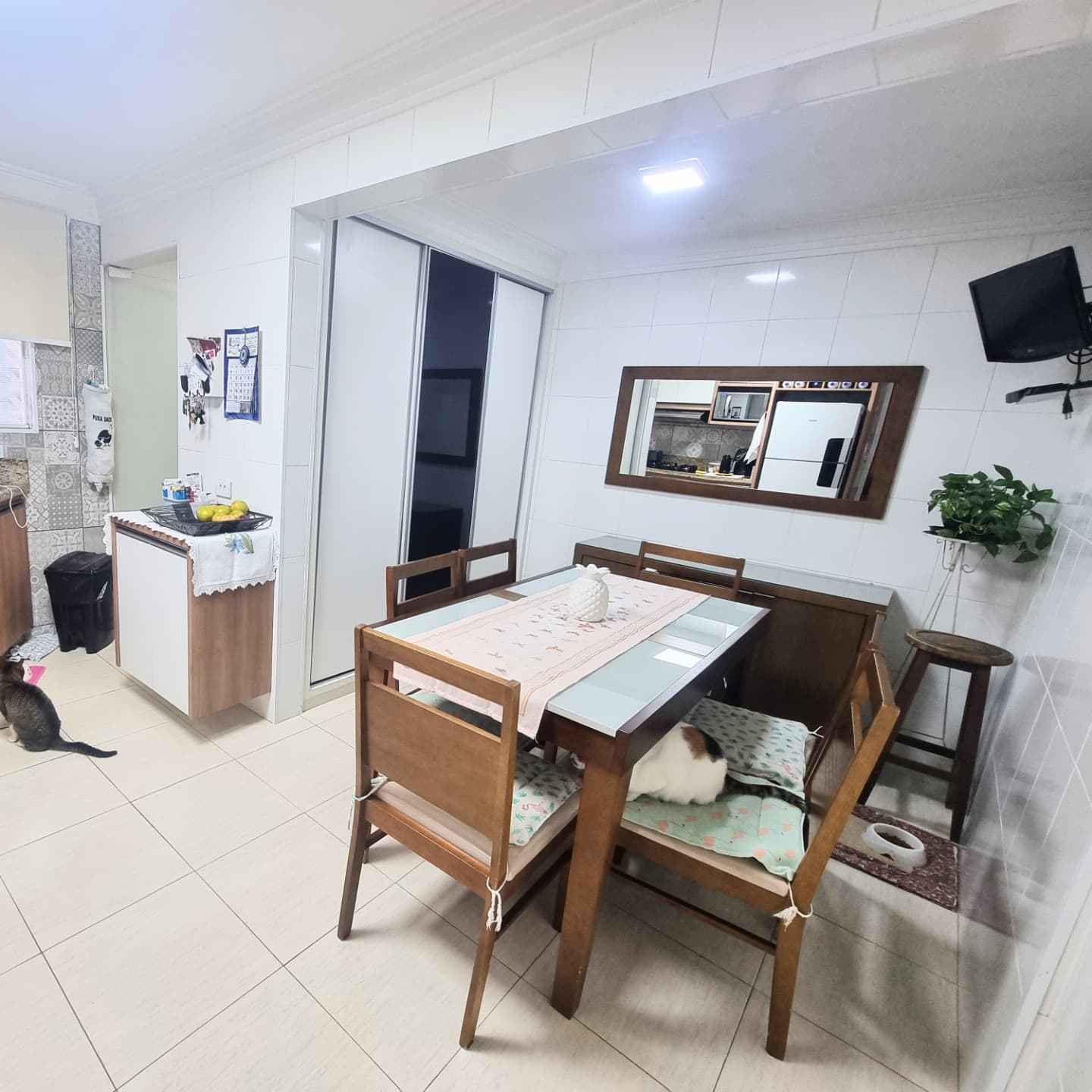 Imagem Casa com 2 Quartos à Venda, 113 m²em Olímpico - São Caetano do Sul Imagem Casa com 2 Quartos à Venda, 113 m²em Olímpico - São Caetano do Sul