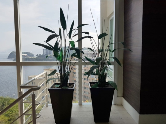 Imagem Cobertura com 5 Quartos à Venda, 680 m² em Icaraí - Niterói