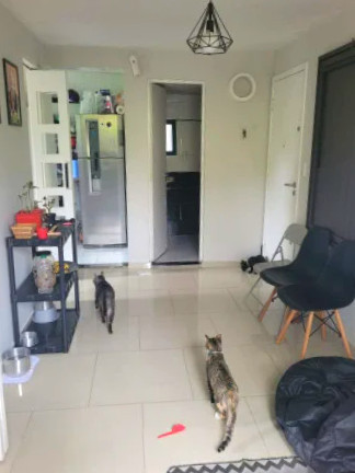 Imagem Apartamento com 2 Quartos à Venda, 39 m²em Jardim Dayse - Ferraz de Vasconcelos