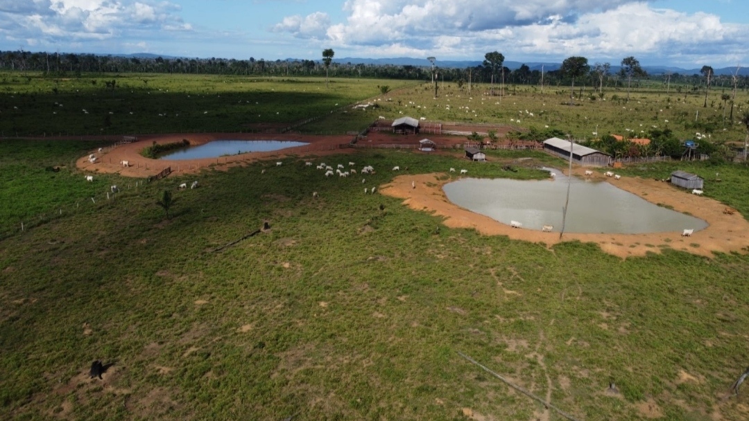 Imagem Fazenda à Venda, 430 m² em Centro - São Félix do Xingu Imagem Fazenda à Venda, 430 m² em Centro - São Félix do Xingu