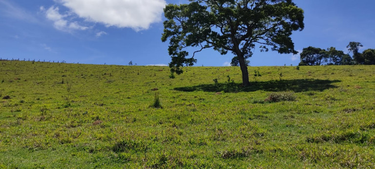 Imagem Terreno à Venda, 500 m² em moinho - Nazaré Paulista Imagem Terreno à Venda, 500 m² em moinho - Nazaré Paulista