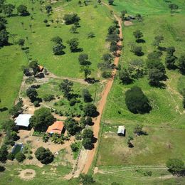 Imagem Fazenda à Venda, 103 Alq GOem ZONA RURAL - Pedro Afonso Imagem Fazenda à Venda, 103 Alq GOem ZONA RURAL - Pedro Afonso