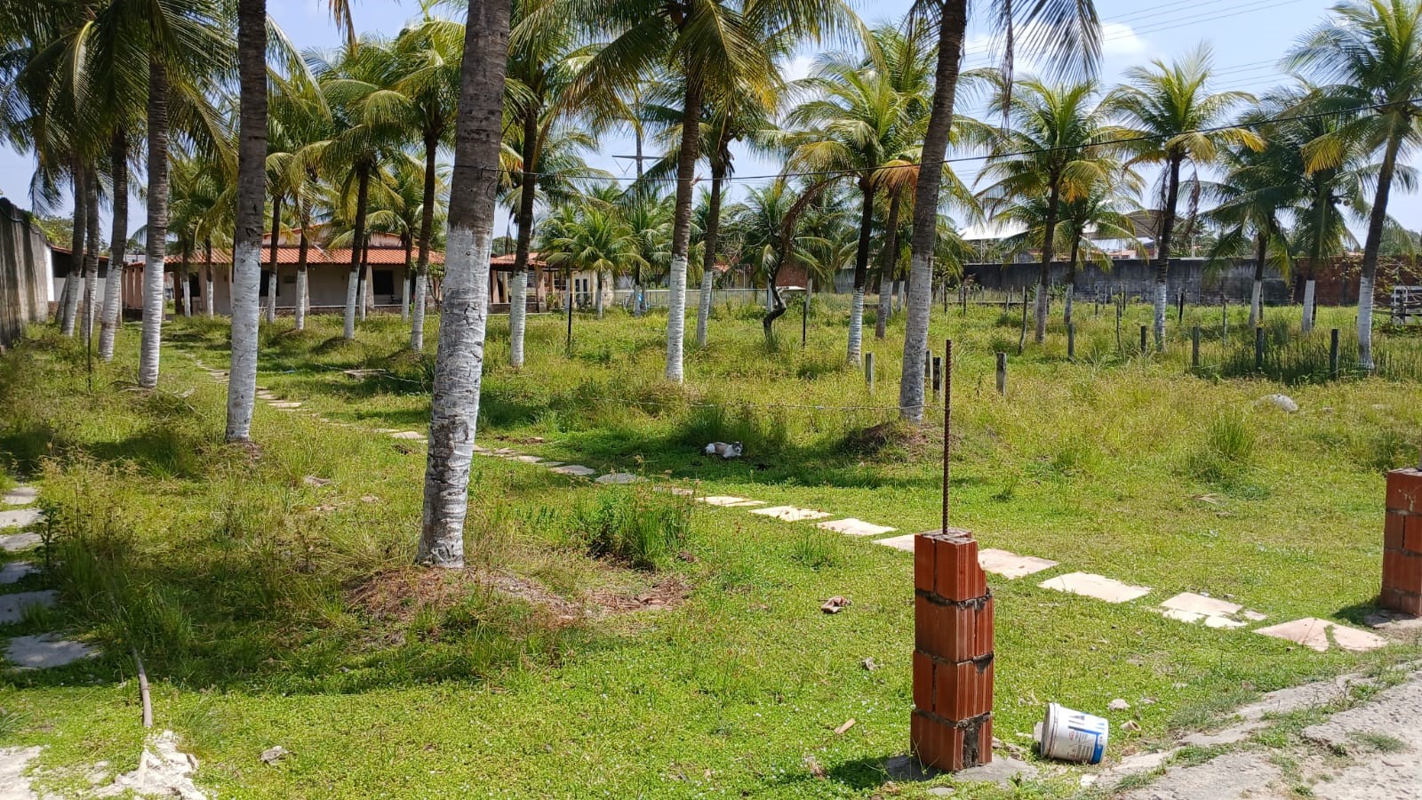 Imagem Casa com 3 Quartos à Venda, 1.000 m² em Siqueira - Maracanaú