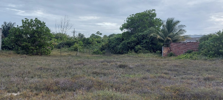 Imagem Terreno à Venda, em Porto Sauípe - Entre Rios Imagem Terreno à Venda, em Porto Sauípe - Entre Rios