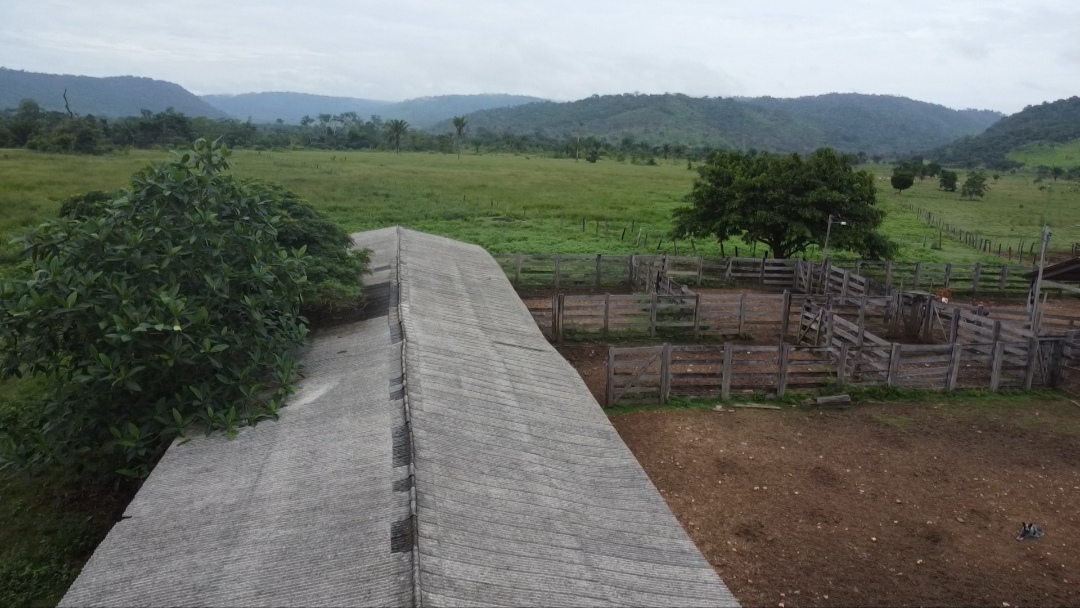 Imagem Fazenda à Venda, 90 m²em Centro - São Félix do Xingu