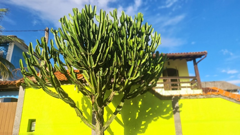 Imagem Casa com 3 Quartos à Venda, 300 m²em Araçatiba - Maricá