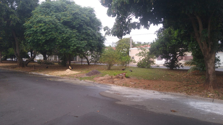 Imagem Casa com 3 Quartos à Venda, 200 m² em Palmeiras - Araçatuba Imagem Casa com 3 Quartos à Venda, 200 m² em Palmeiras - Araçatuba