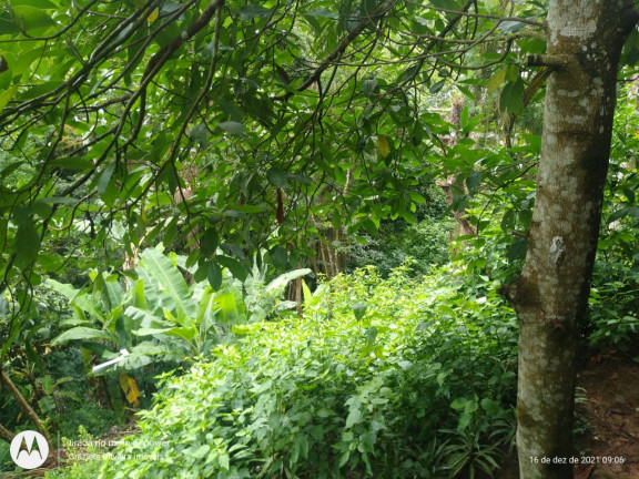 Imagem Casa com 3 Quartos à Venda, 100 m² em Pessegueiros - Teresópolis