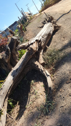 Imagem Terreno à Venda, 2.341 m² em Campo LArgo - Jarinu Imagem Terreno à Venda, 2.341 m² em Campo LArgo - Jarinu