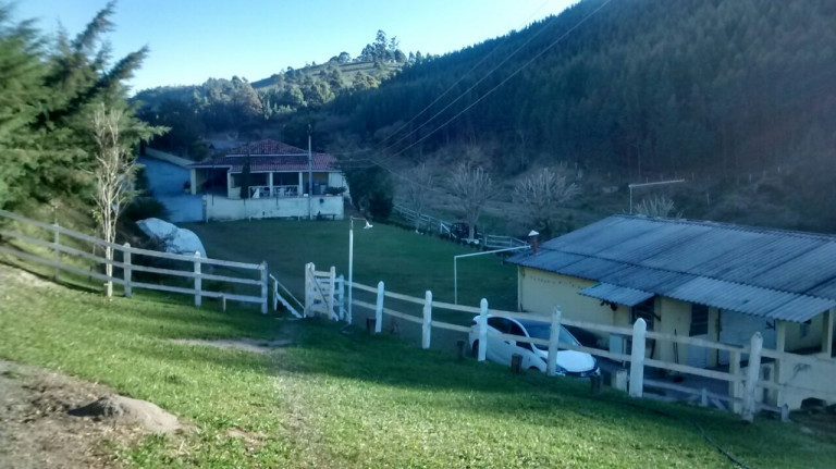 Imagem Chácara com 3 Quartos à Venda, 12.500 m² em MONTE ALEGRE - Natividade da Serra