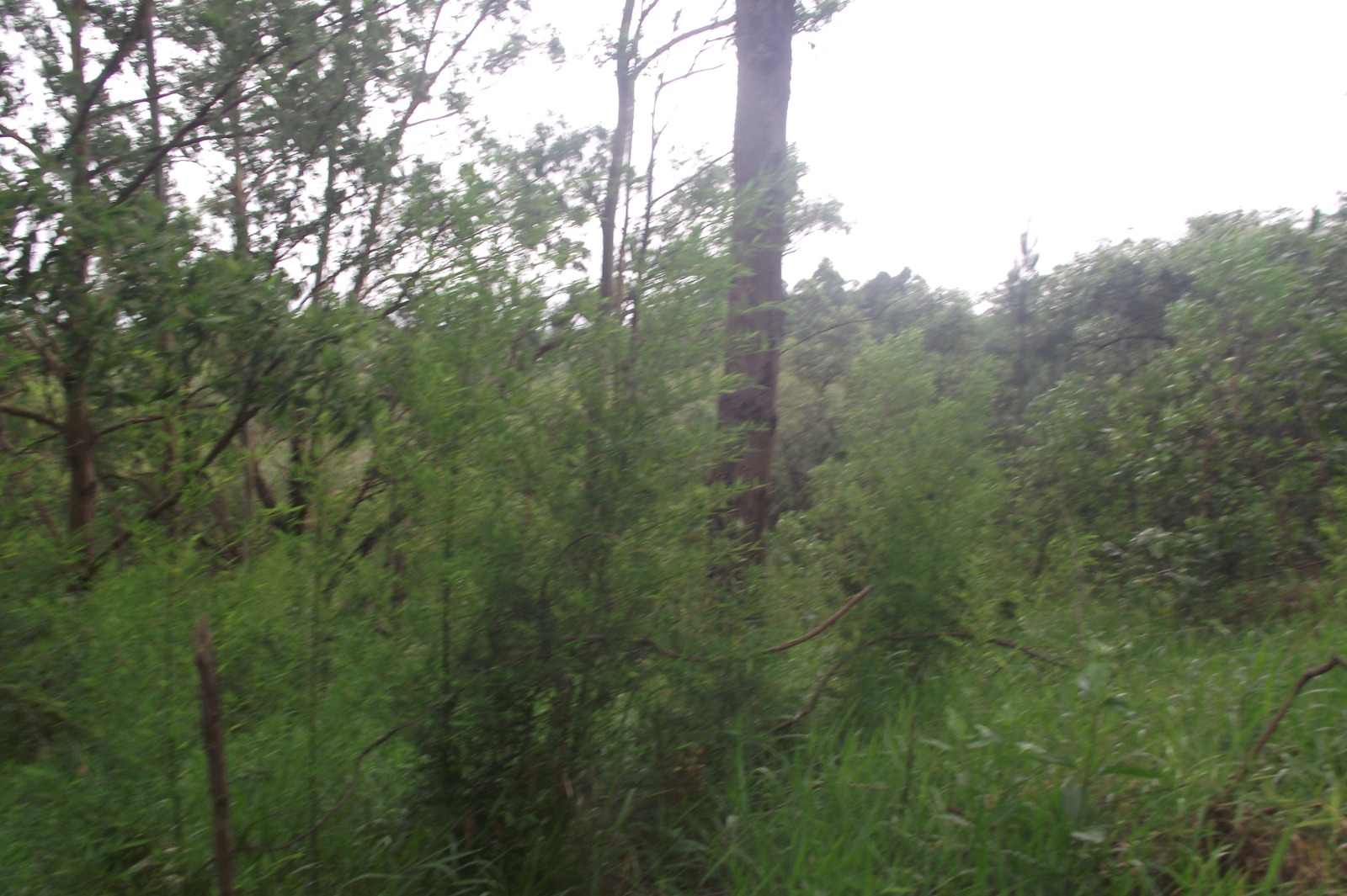 Imagem Terreno à Venda, 24.452 m² em Apotribu de Cima - Itu