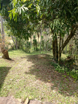 Imagem Chácara com 3 Quartos à Venda, 250 m² em Santa Teresa - Santa Isabel