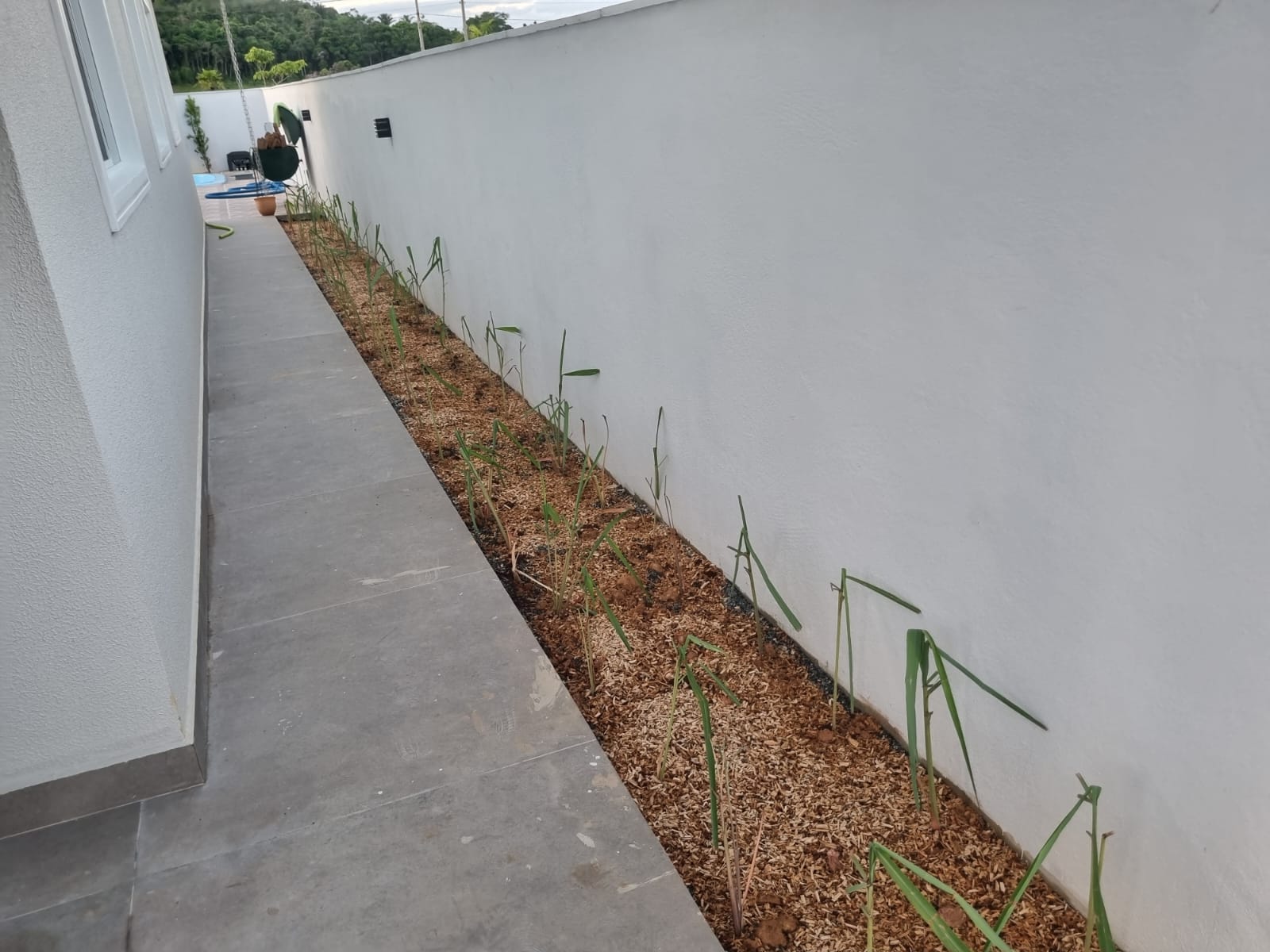 Imagem Casa de Condomínio com 2 Quartos à Venda, 86 m²em Itinga  - Araquari