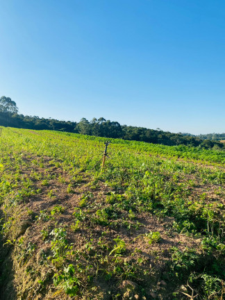 Imagem Terreno à Venda, 1.000 m² em Campo Verde - Ibiúna Imagem Terreno à Venda, 1.000 m² em Campo Verde - Ibiúna