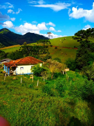 Imagem Chácara com 3 Quartos à Venda, 23.200 m² em Rio Lourenço Velho - Delfim Moreira Imagem Chácara com 3 Quartos à Venda, 23.200 m² em Rio Lourenço Velho - Delfim Moreira