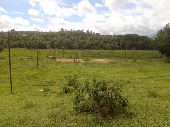 Imagem Chácara à Venda, 25.000 m²em Vila Favorino - Caçapava