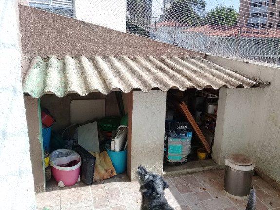 Imagem Apartamento com 3 Quartos à Venda, 69 m² em Jardim Oriental - São Paulo