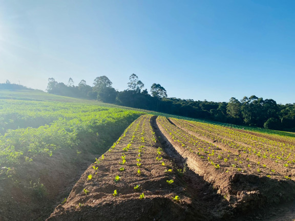 Imagem Terreno à Venda, 1.000 m² em Dona Catarina - Mairinque Imagem Terreno à Venda, 1.000 m² em Dona Catarina - Mairinque