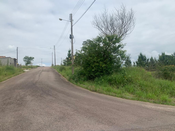 Imagem Terreno à Venda, em Linha Anta - Criciúma Imagem Terreno à Venda, em Linha Anta - Criciúma
