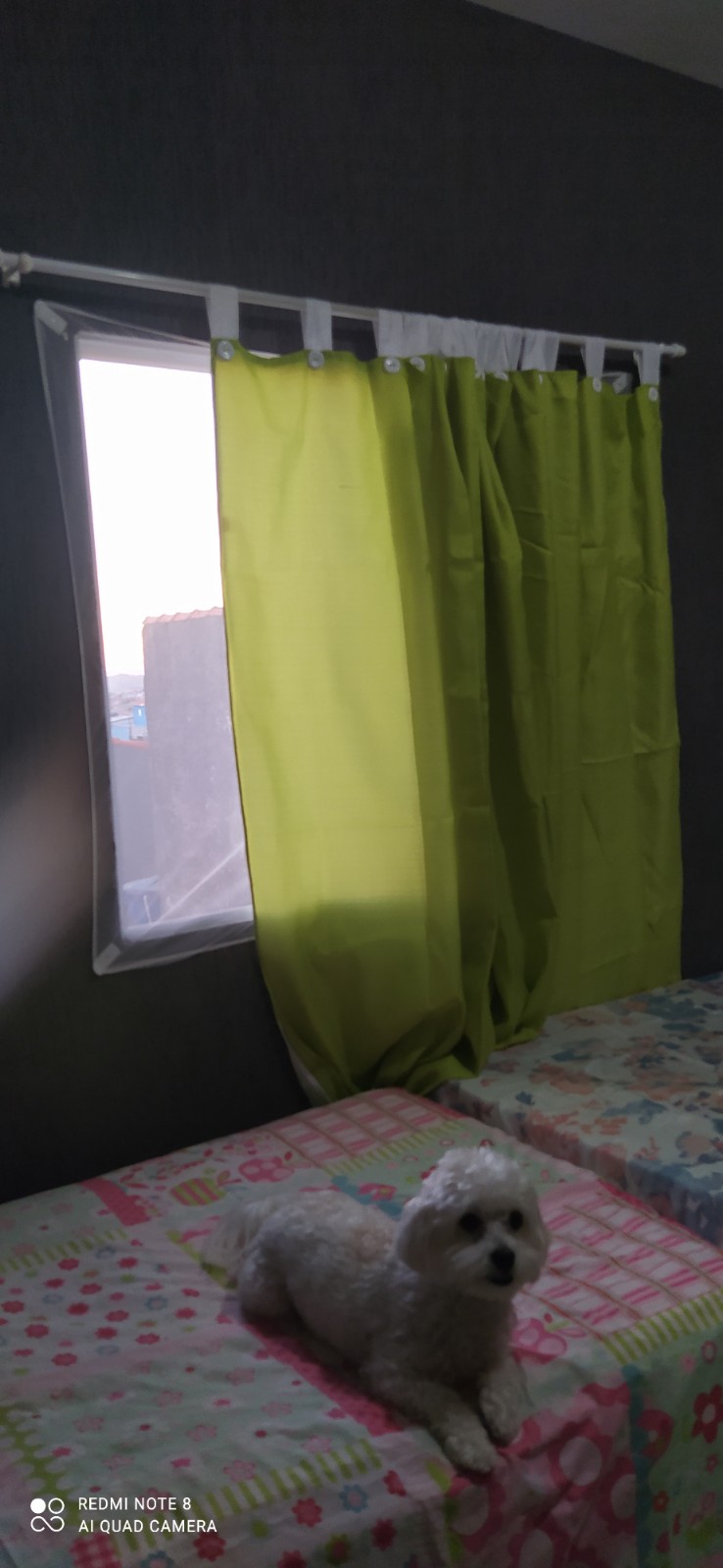 Imagem Casa de Condomínio com 2 Quartos à Venda, 70 m²em Vila Melchizedec - Mogi das Cruzes