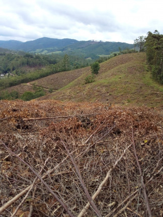 Imagem Terreno à Venda, 1.000 m² em Centro - Atibaia Imagem Terreno à Venda, 1.000 m² em Centro - Atibaia