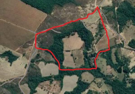Imagem Fazenda à Venda, 8 Alq GOem Zona Rural - Silvânia Imagem Fazenda à Venda, 8 Alq GOem Zona Rural - Silvânia