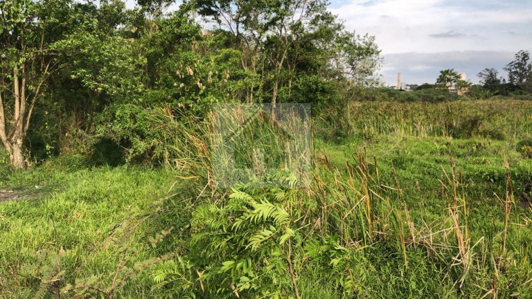 Imagem Terreno à Venda, 49.840 m² em Jardim Izildinha - Guarulhos Imagem Terreno à Venda, 49.840 m² em Jardim Izildinha - Guarulhos