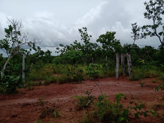 Imagem Fazenda à Venda, 4.870 HA em morumbi - campo grande Imagem Fazenda à Venda, 4.870 HA em morumbi - campo grande
